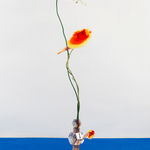 Gillian Brett, Bromus Driandus, 2022