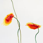 Gillian Brett, Bromus Driandus, 2022