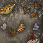 Alessia Iannetti, Visions Of Sounds, 2014