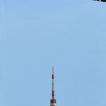 Masakatsu Sashie, Cosmic seed, 2016-2025