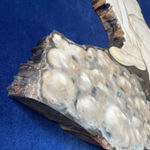 Chishi Morimura, Wisteria, 2022