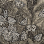 Alessia Iannetti, Visions Of Sounds, 2014