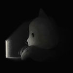 Luke Chueh, Into the Shadows , 2024