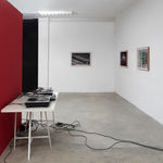 Jacqueline de Jong, Delighted Potato Flower (Potato Blues series), 2017