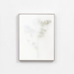 Dor Guez, Lilies of the Field #4, Jerusalem, Rachel's tomb, 2020