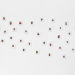 Jonathan Monk, Still Life XV, 2011