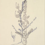 Dor Guez, (Sa)Mira, 2009