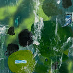 林亦軒 Lin YiHsuan, 黑房子 The Black House, 2013