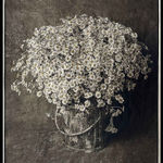 Jan C. Schlegel, Biwa with Crocodile, Kara Tribe, Ethiopia, 2009