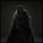 Dean West, Palm Springs #1, 2015