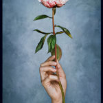 Vee Speers, Untitled #18, 2007