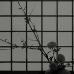 Dean West, Palm Springs #1, 2015