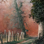 Vee Speers, Untitled #9, 2020