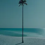 Dean West, Palma de la Noche, AP, 2021