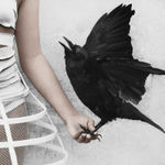 Vee Speers, Untitled #18, 2007