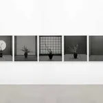 Dean West, Palm Springs #1, 2015