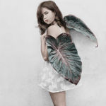 Vee Speers, Untitled #1, 2012