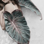 Vee Speers, Untitled #1, 2012