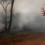 Vee Speers, Immortal #8, 2010