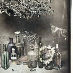 Jan C. Schlegel, Biwa with Crocodile, Kara Tribe, Ethiopia, 2009