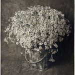 Jan C. Schlegel, Biwa with Crocodile, Kara Tribe, Ethiopia, 2009