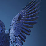 Tim Flach, Djala, 2017