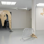 Pauline Curnier Jardin, Teetorum