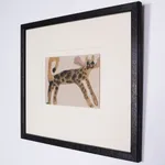 Moira Frith, Cartwheel