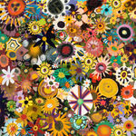 Paul Wackers, Community Organization, 2023