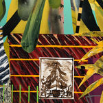 Paul Wackers, Community Organization, 2023