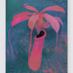 Sanghyuk Kim, Make it black, 2025