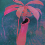 Sanghyuk Kim, Make it black, 2025