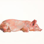 劉小東 LIU Xiaodong, 「豬系列」整套, 2009