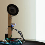 鄭先喻 HsienYu CHENG, Annoyanony, 2022