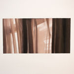 Catalina Torres, La naturaleza del tiempo, 2013