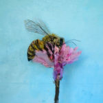 Ai Weiwei, Profile of Ethan Cohen, 1988