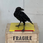 Thumbnail of additional image