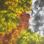 Joyce Badenoch, Papa (Dog), 2022