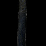 Samson Bonson, Mimih Spirit, 2022