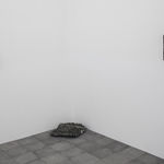 Ayesha Sultana, A Space Between Things, 2015–2016