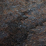 Sakshi Gupta, No Title (From the Series, At The Still Point of The Turning World, 2015