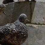 Sakshi Gupta, No Title (From the Series, At The Still Point of The Turning World, 2015