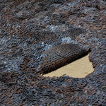 Sakshi Gupta, No Title (From the Series, At The Still Point of The Turning World, 2015