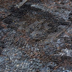 Sakshi Gupta, No Title (From the Series, At The Still Point of The Turning World, 2015