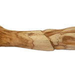 Prabhakar Pachpute, Museum Menageries 44 (The fossil reptile), 2025