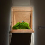 Marcy Friesen, Smoked Food Series #1, 2023