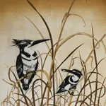 Hilda Bernstein, Pied Kingfisher