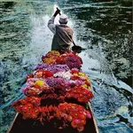 Damien Hirst, Selflessness (H14-7), from the Secrets, 2024