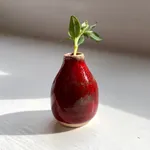 Tilly Slight, Arctic white IX, 2021