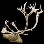 LUCY TASSEOR TUTSWEETOK (1934-2012) ARVIAT (ESKIMO POINT), Mother and Child, late 1990s